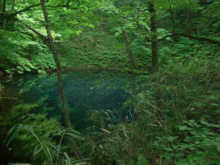d0169732_2023169.jpg
