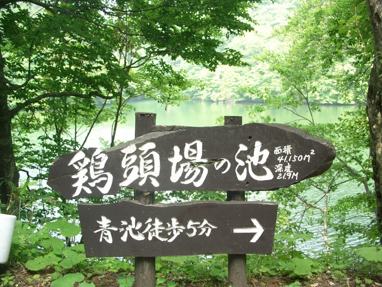 d0169732_2035560.jpg