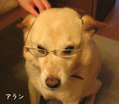 a0166338_18532934.gif