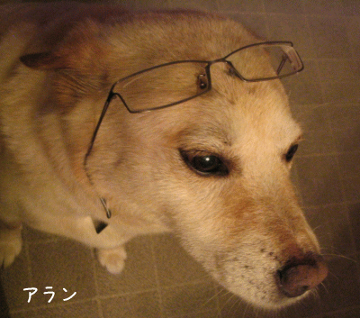 a0166338_18535119.gif