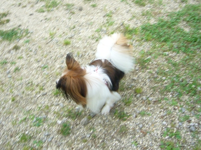 e0100046_21325896.jpg