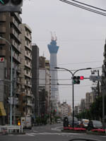 e0181546_1036616.jpg