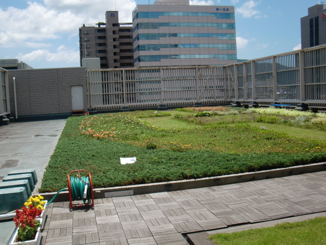 b0152548_1801454.jpg