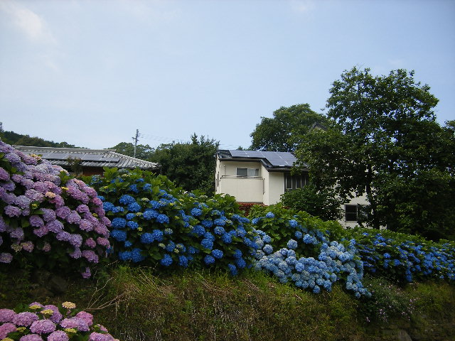 b0181748_18593756.jpg