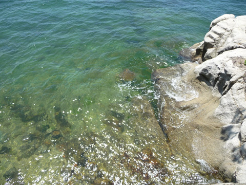 c0221349_20243496.jpg