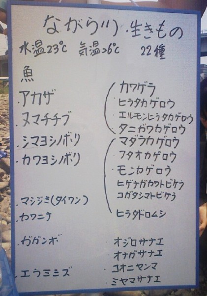 市民による「豊かな海づくり大会」-5_f0197754_20183430.jpg