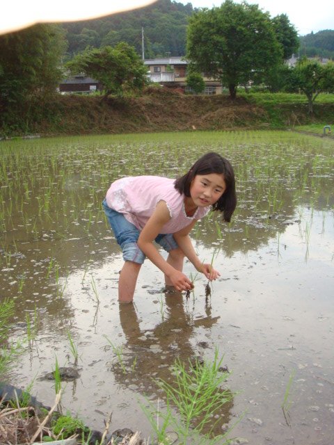 田植えしてるナウ_c0074157_2236368.jpg