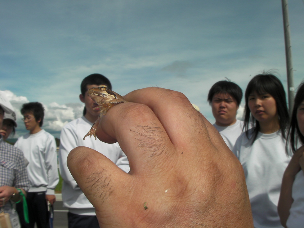 d0147157_5301923.jpg