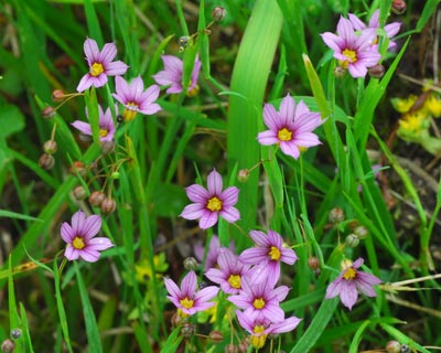 e0035757_22191120.jpg