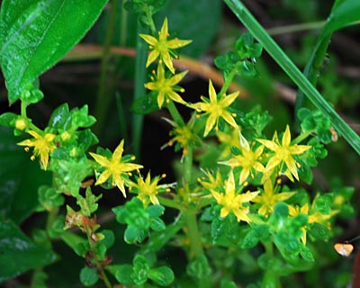 e0035757_22202169.jpg