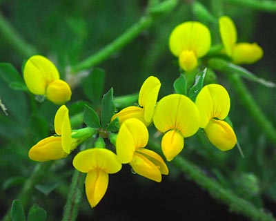 e0035757_22204634.jpg