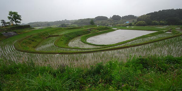 e0035757_22245225.jpg