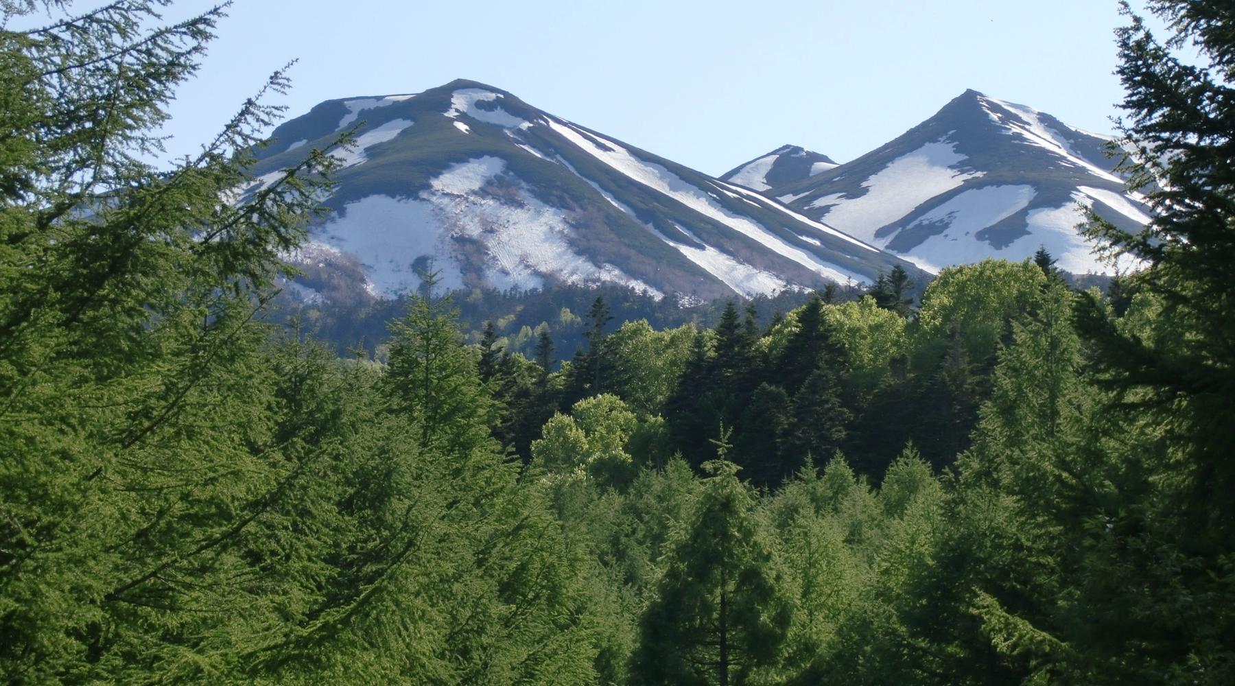 c0140260_22475532.jpg