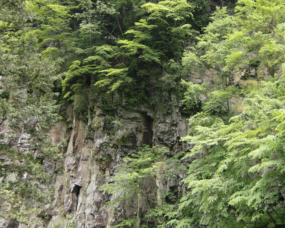 c0140260_22482967.jpg