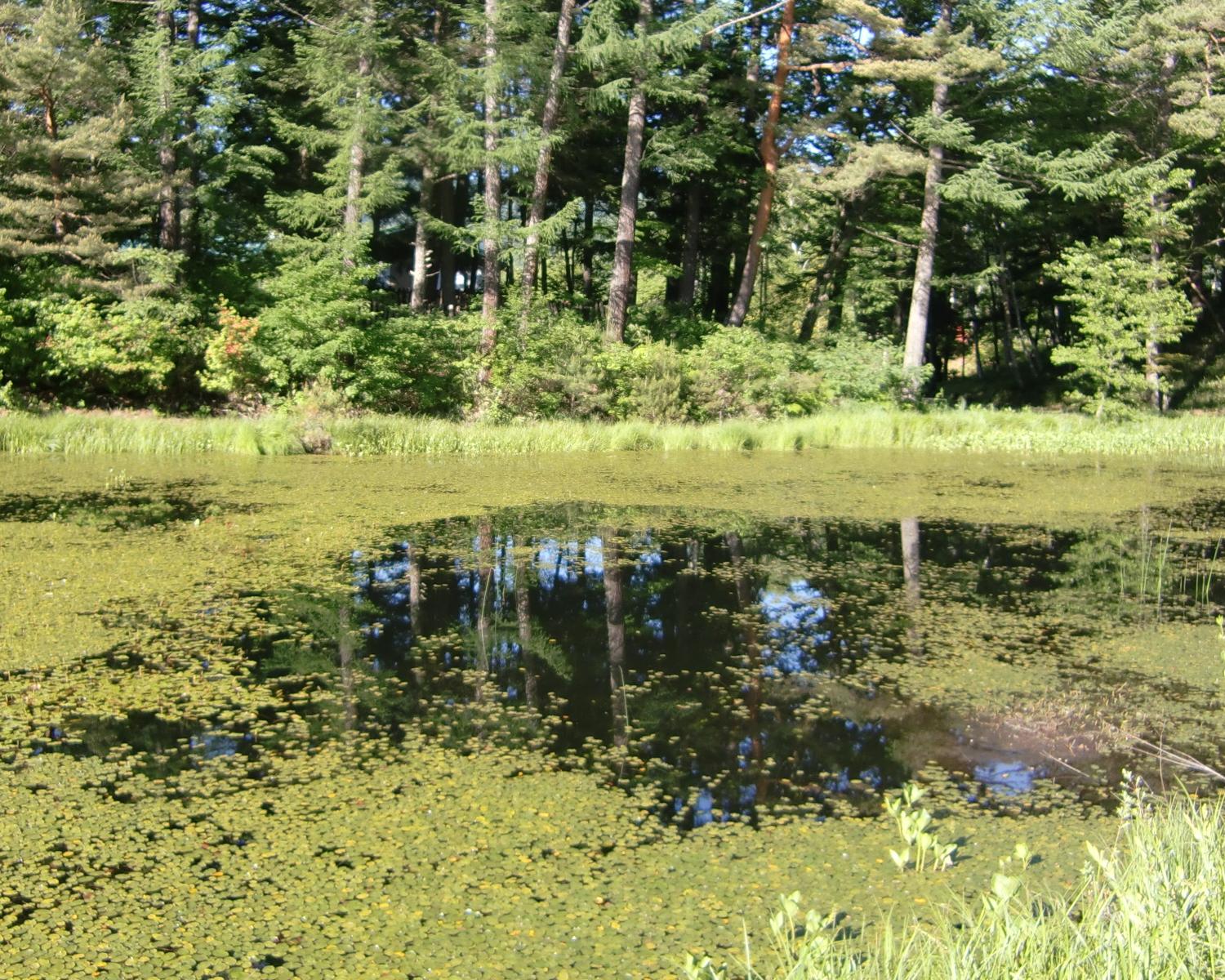 c0140260_22484228.jpg