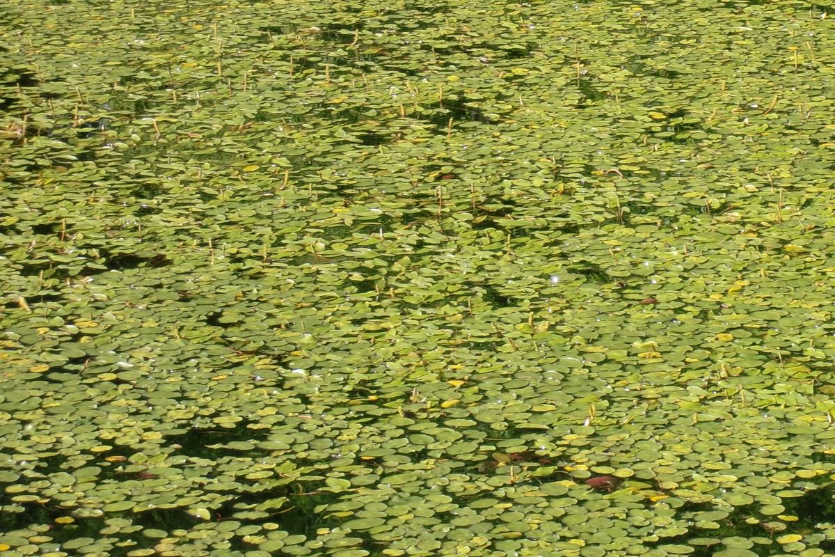 c0140260_2248534.jpg