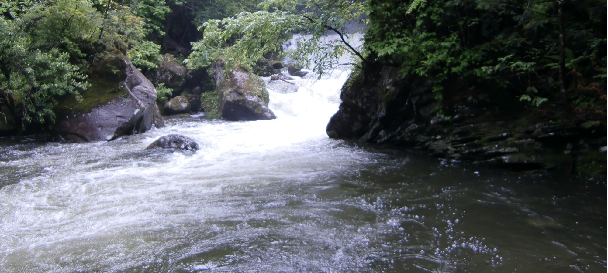 c0140260_2252582.jpg