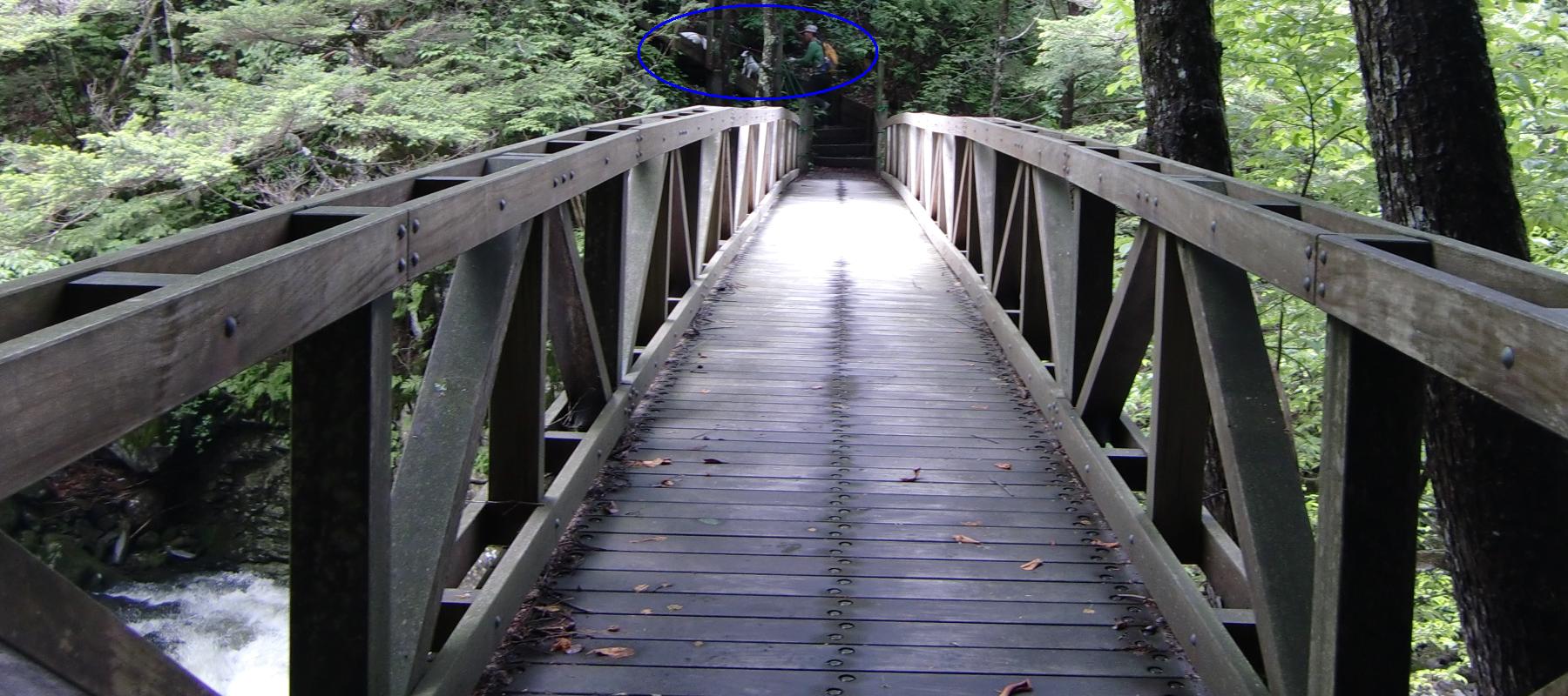 c0140260_2254311.jpg