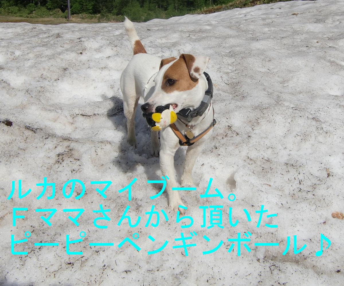 c0140260_22595070.jpg