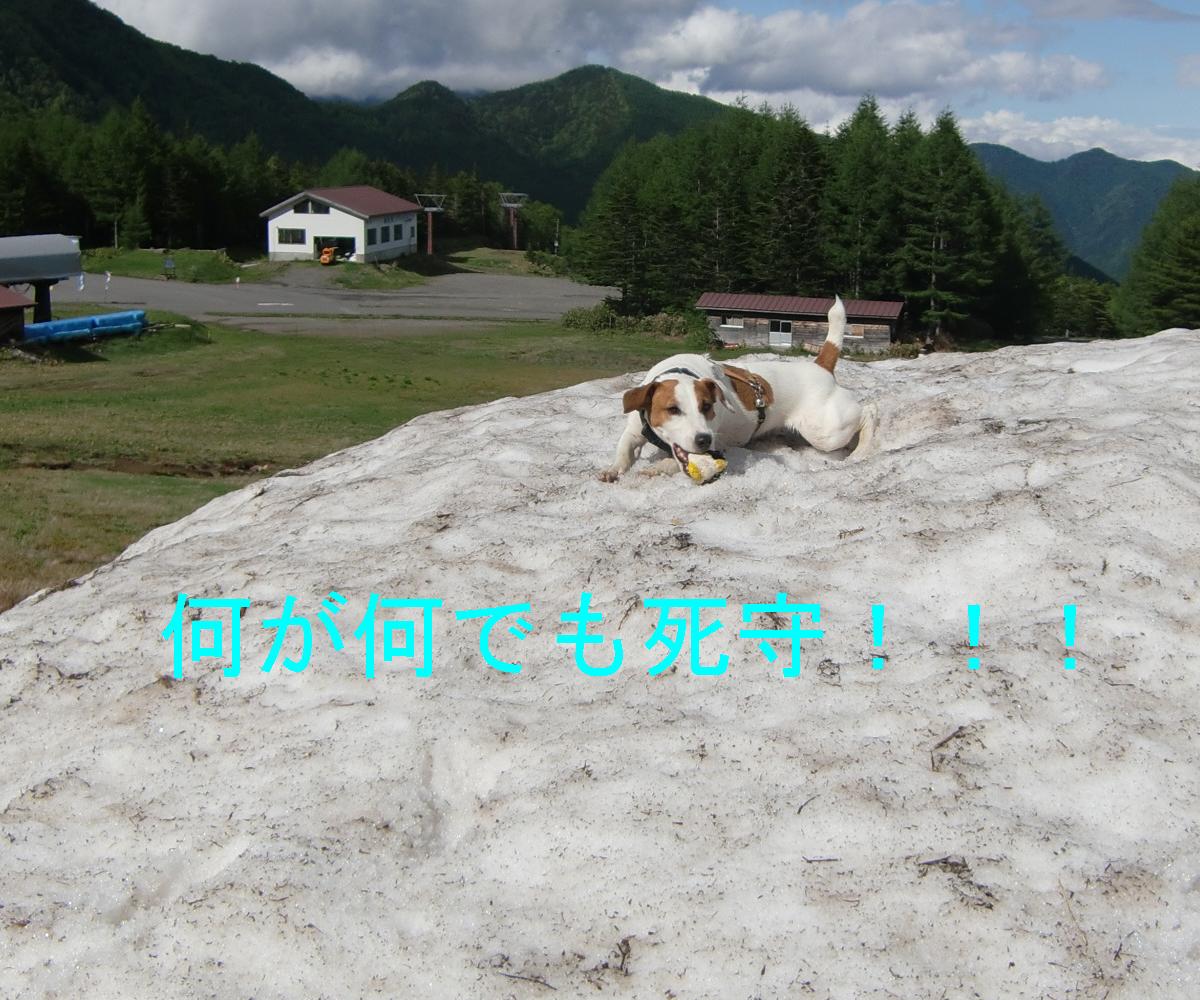 c0140260_23038.jpg