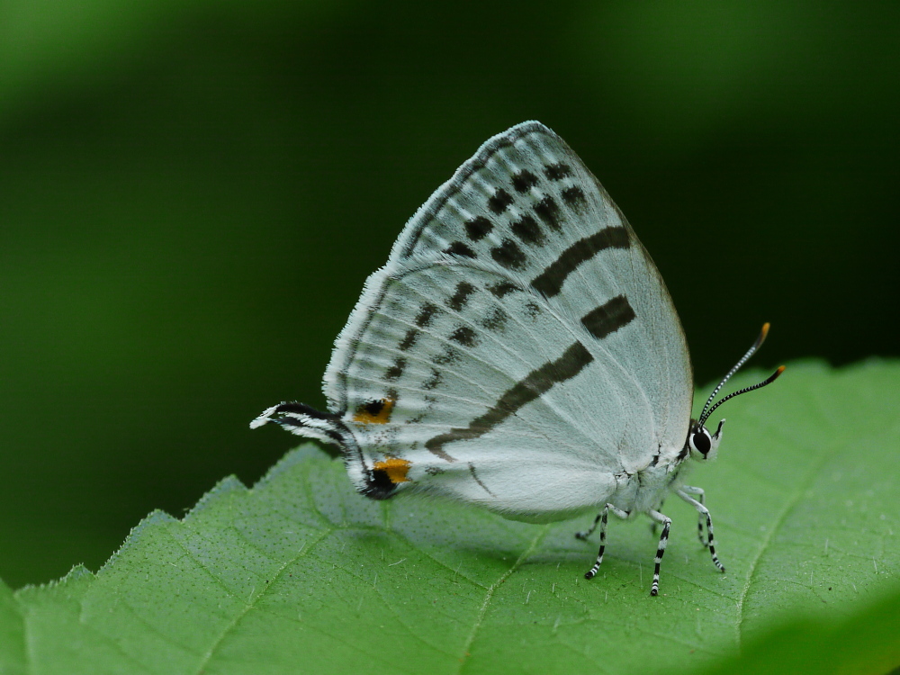 a0146869_22508.jpg