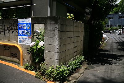 あじさいの季節です。_c0072971_22585478.jpg