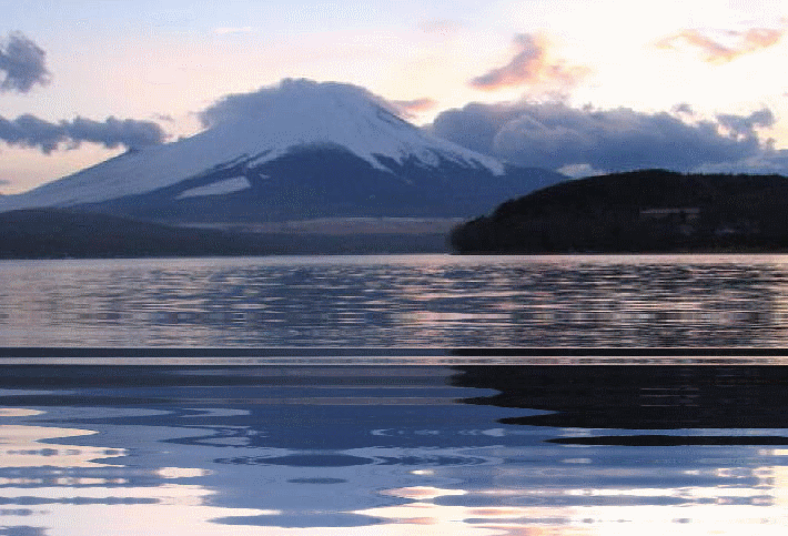 f0182571_1458867.gif