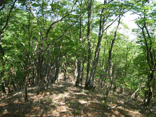 c0002874_72667.jpg