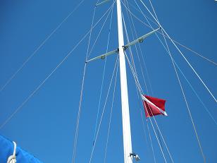 b0171577_10363547.jpg