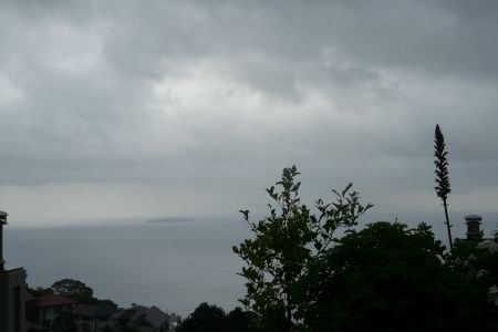2010年６月１６日    ハンニンは。。。。_b0098584_85857100.jpg