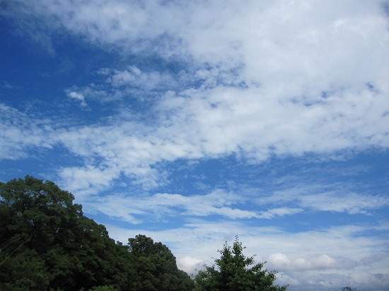 b0182884_058953.jpg
