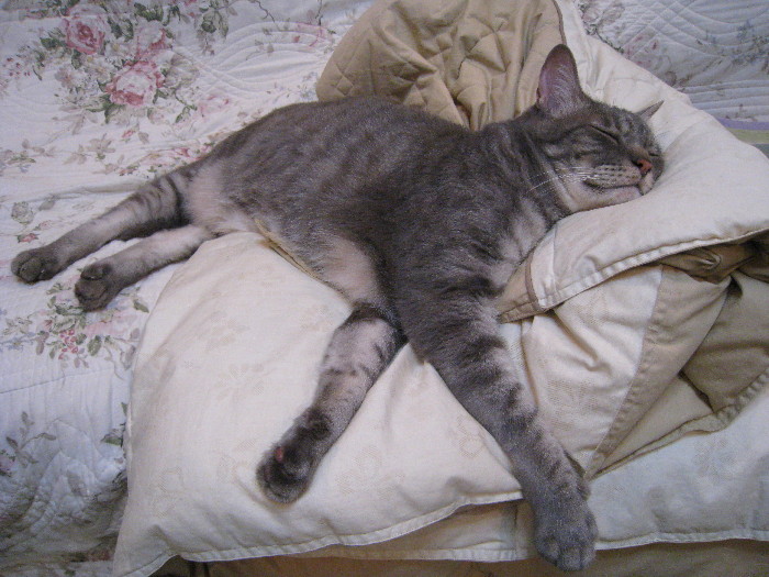 c0132387_152419.jpg