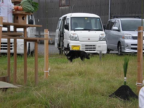 50の手習い_e0145995_0334947.jpg