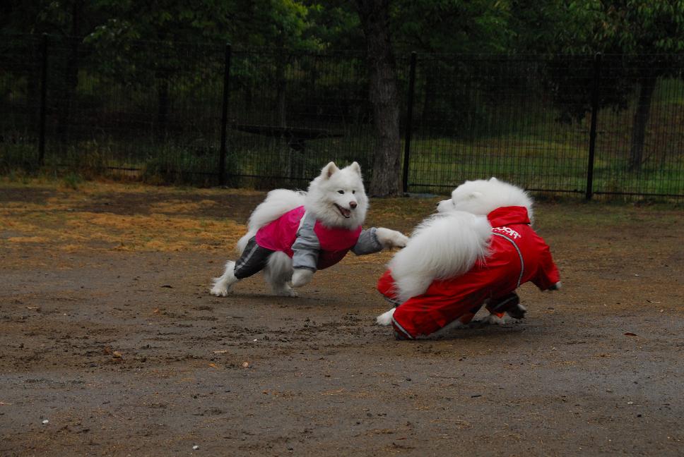 2010年　穴子オフ♪　part2_a0049296_1273451.jpg
