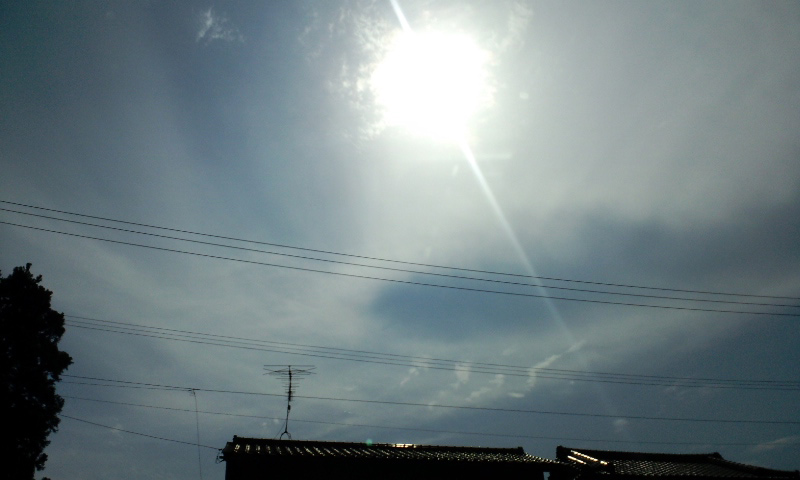 d0093903_043186.jpg