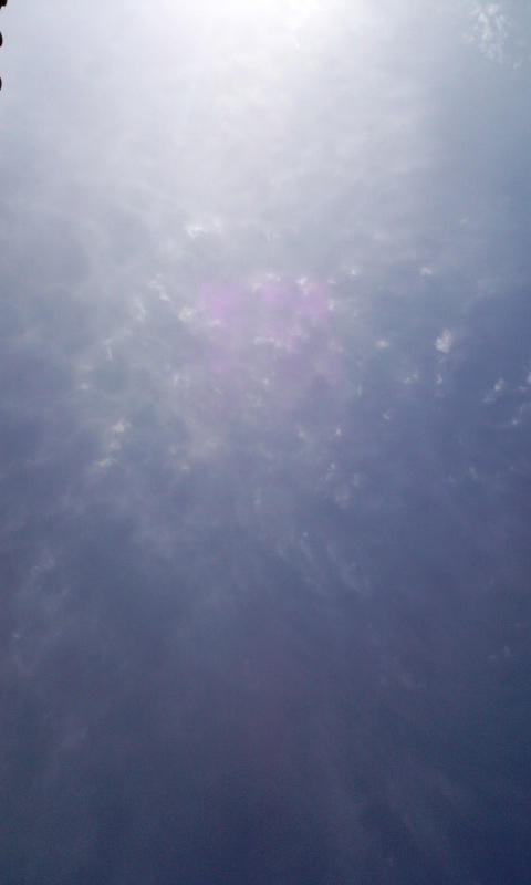 d0093903_0443459.jpg