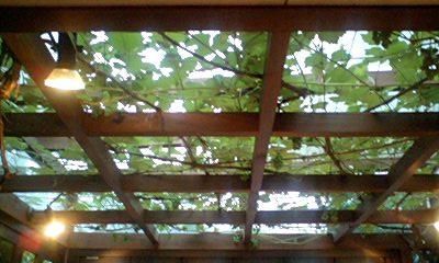 d0054704_0124525.jpg