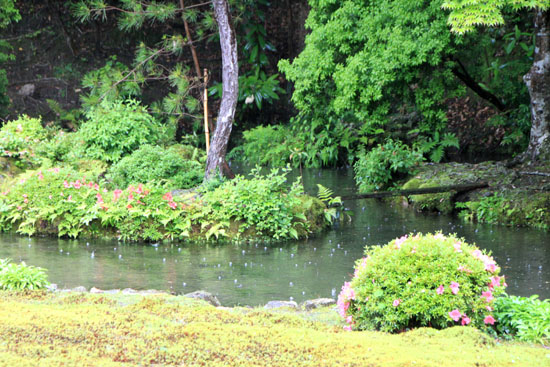 雨の南禅院_e0048413_9591229.jpg