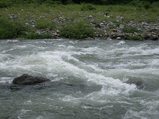 a0059315_19314894.jpg