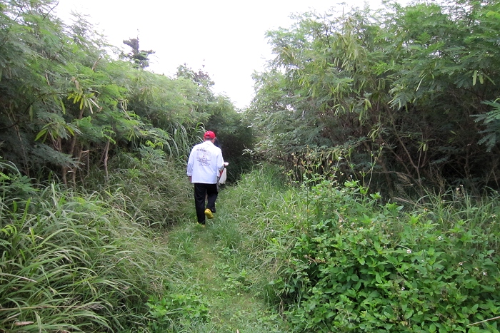 八重山諸島に行ってきました。　その２　6月14日　起床～バラス島上陸まで。_d0118616_13464579.jpg