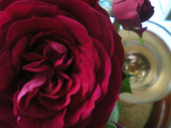 c0124619_20453929.jpg