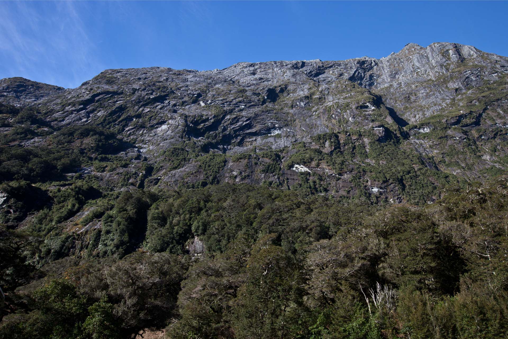 d0073620_19393875.jpg