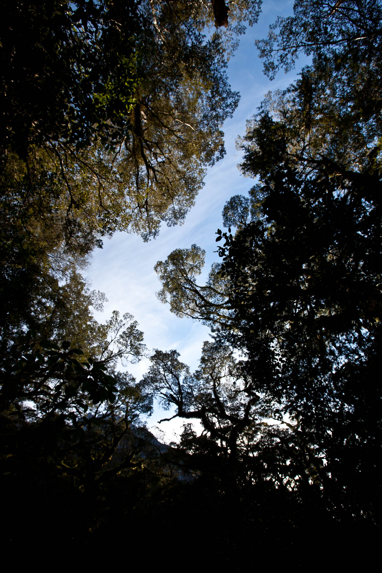 d0073620_19402717.jpg