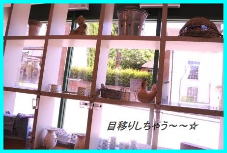 豚キュー浅漬け_d0104926_4151314.jpg