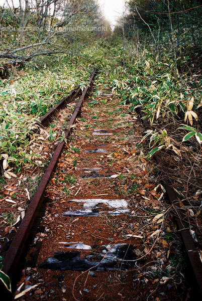 f0164826_2043555.jpg