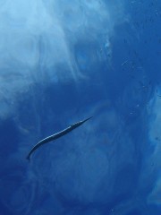 b0100730_22553566.jpg