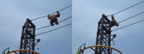 旅行の続き・・・とべ動物園へ_c0148634_952523.jpg