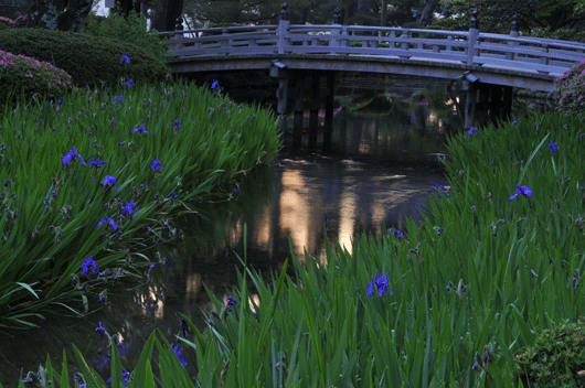 c0093046_624958.gif