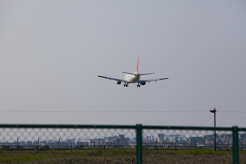 f0002946_1214689.jpg