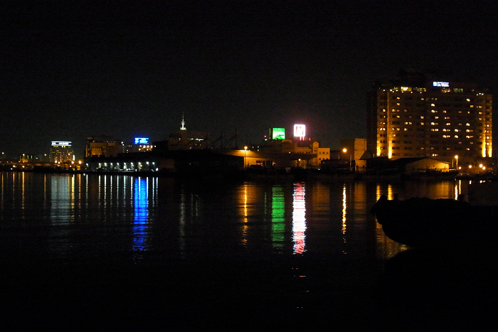 函館夜景_f0155048_16135224.jpg